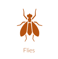 Integrated fly managment